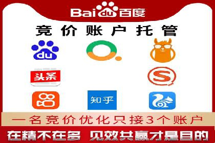 行业案例分析：sem账户托管的成功与挑战